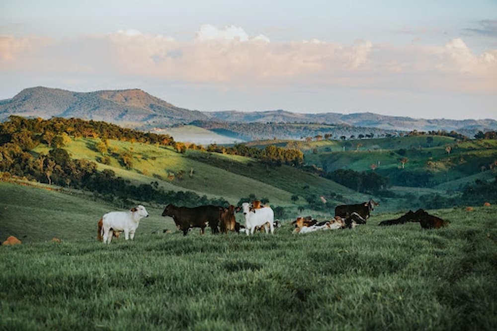 Agricultura